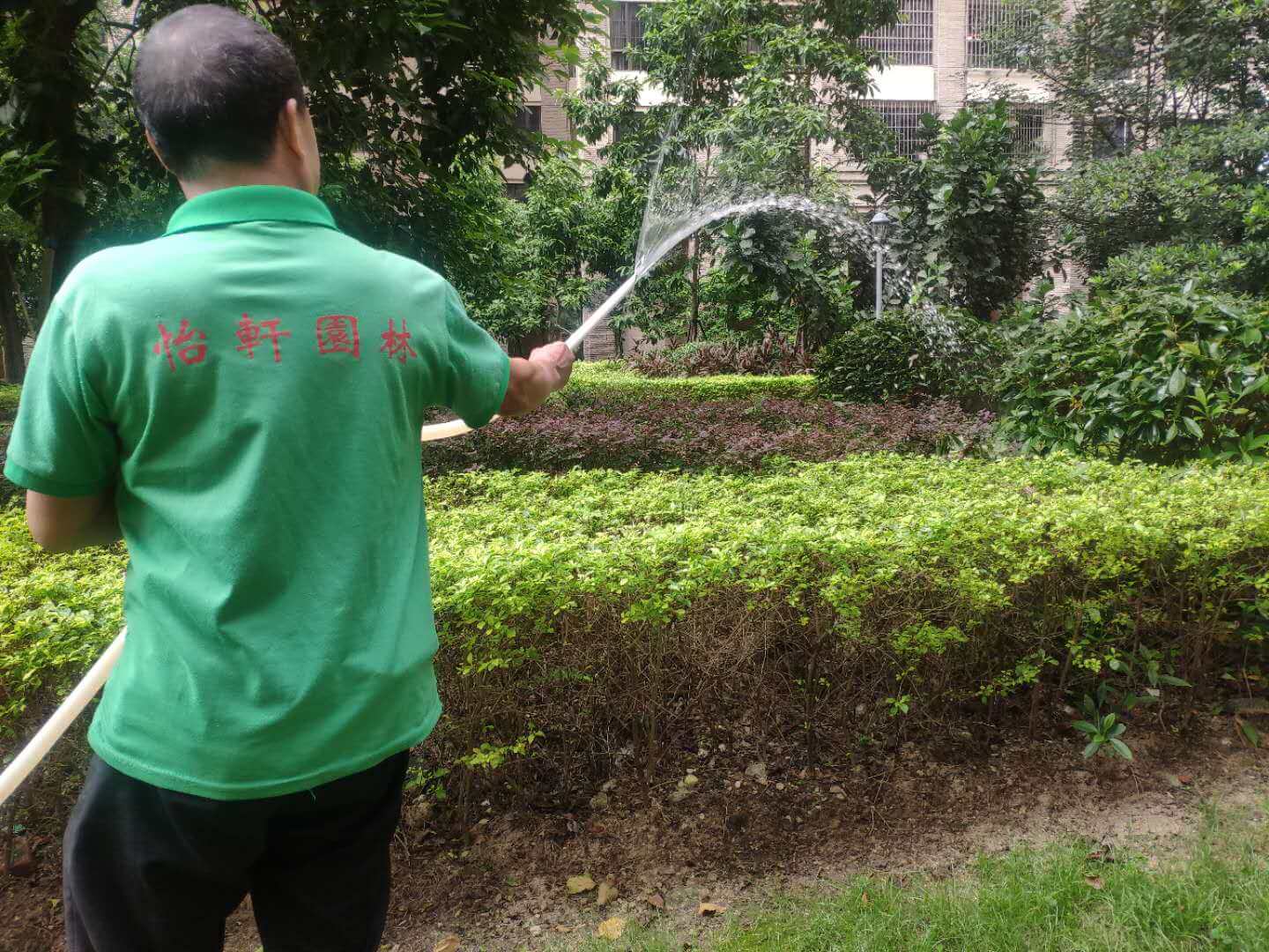 綠化養(yǎng)護苗木灌溉