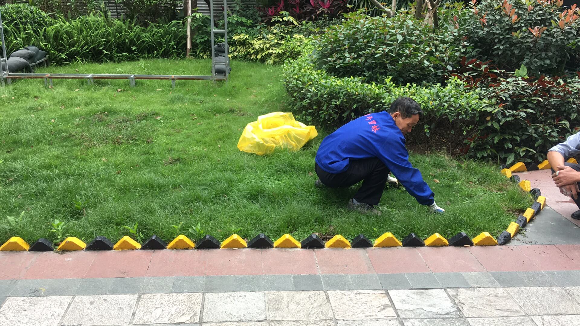 佛山綠化養(yǎng)護(hù)