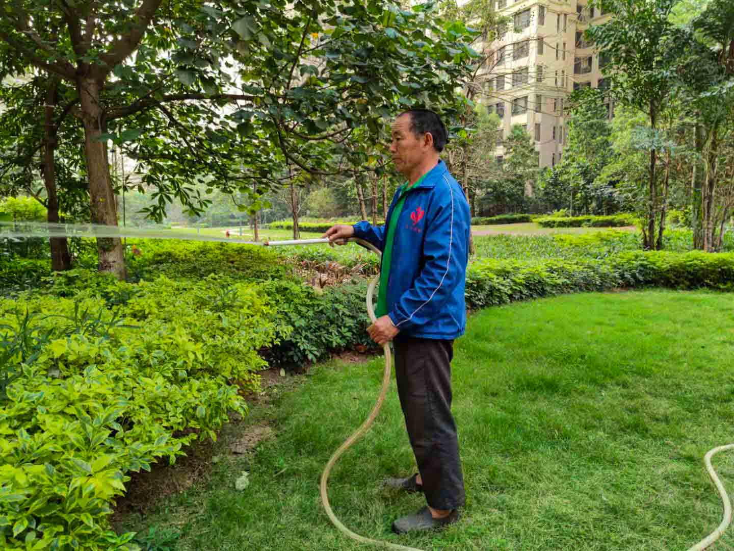 廣州園林綠化養(yǎng)護(hù),廣州園林綠化養(yǎng)護(hù)公司,園林綠化養(yǎng)護(hù) 廣州園林綠化養(yǎng)護(hù),廣州園林綠化養(yǎng)護(hù)公司,園林綠化養(yǎng)護(hù)