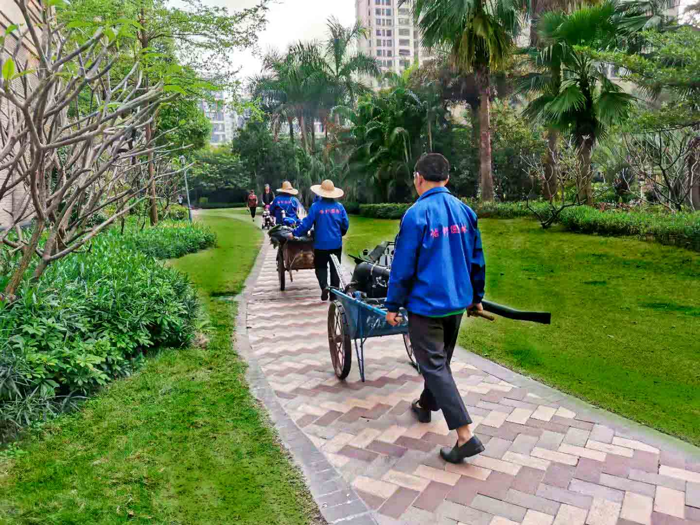 園林綠化養(yǎng)護(hù) 園林綠化養(yǎng)護(hù)