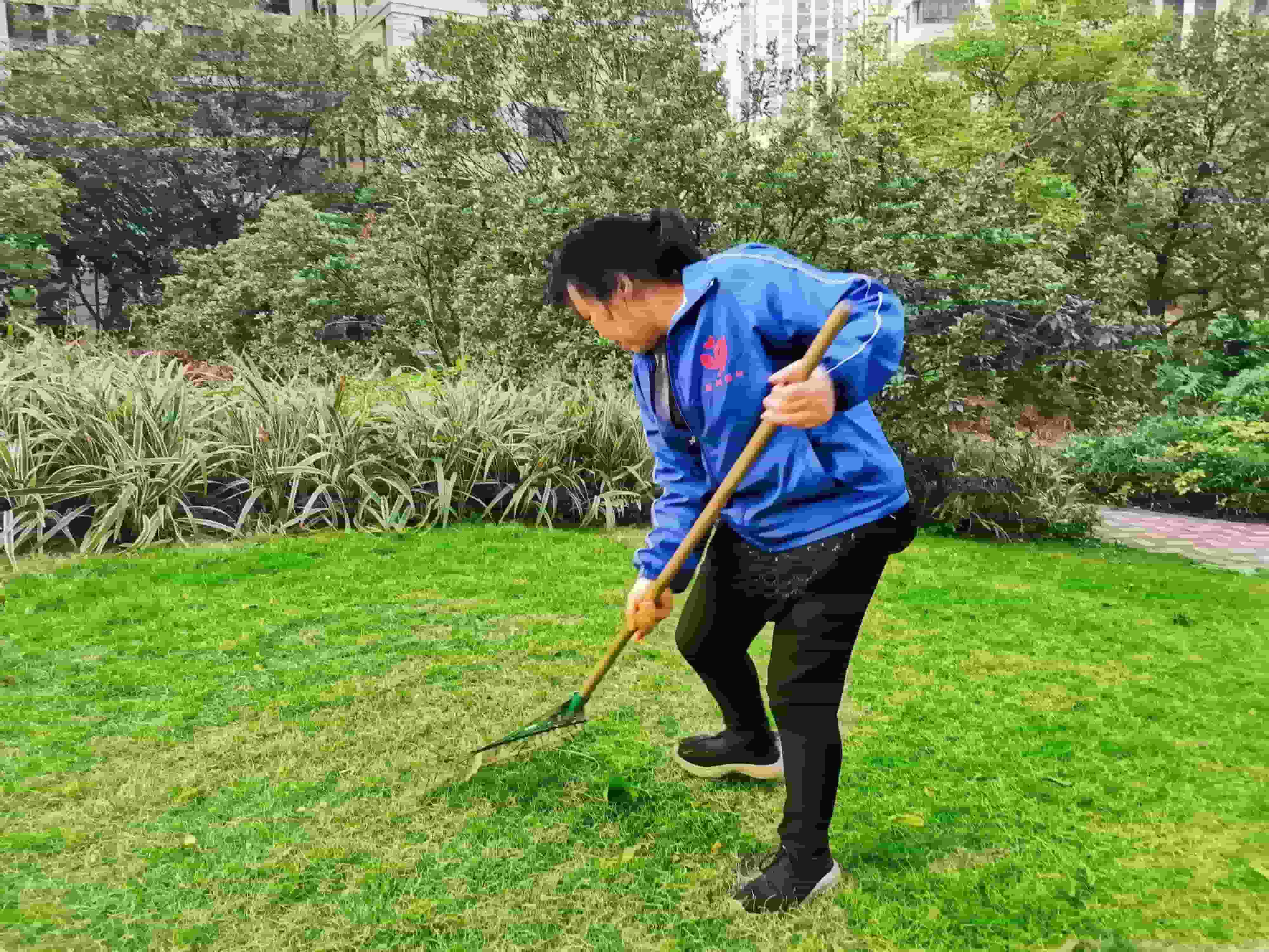 綠化養(yǎng)護 綠化養(yǎng)護