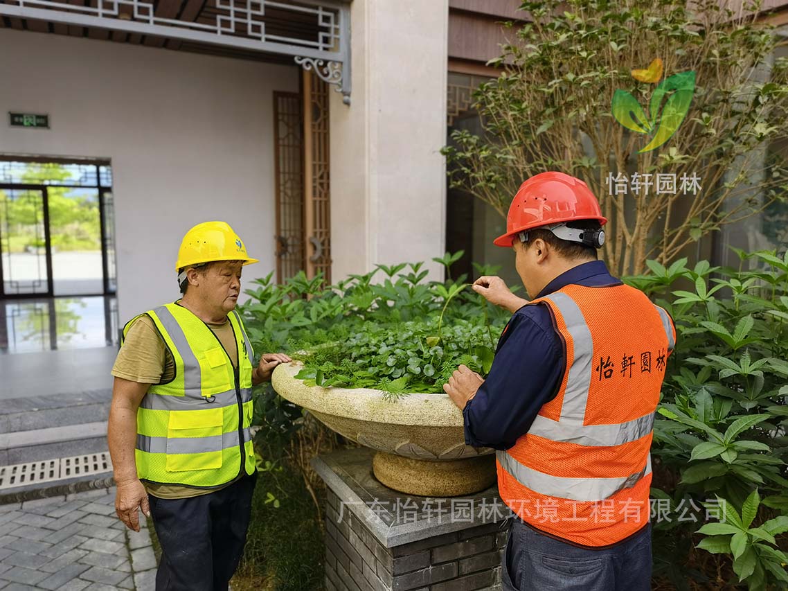 綠化養(yǎng)護(hù) 綠化養(yǎng)護(hù)