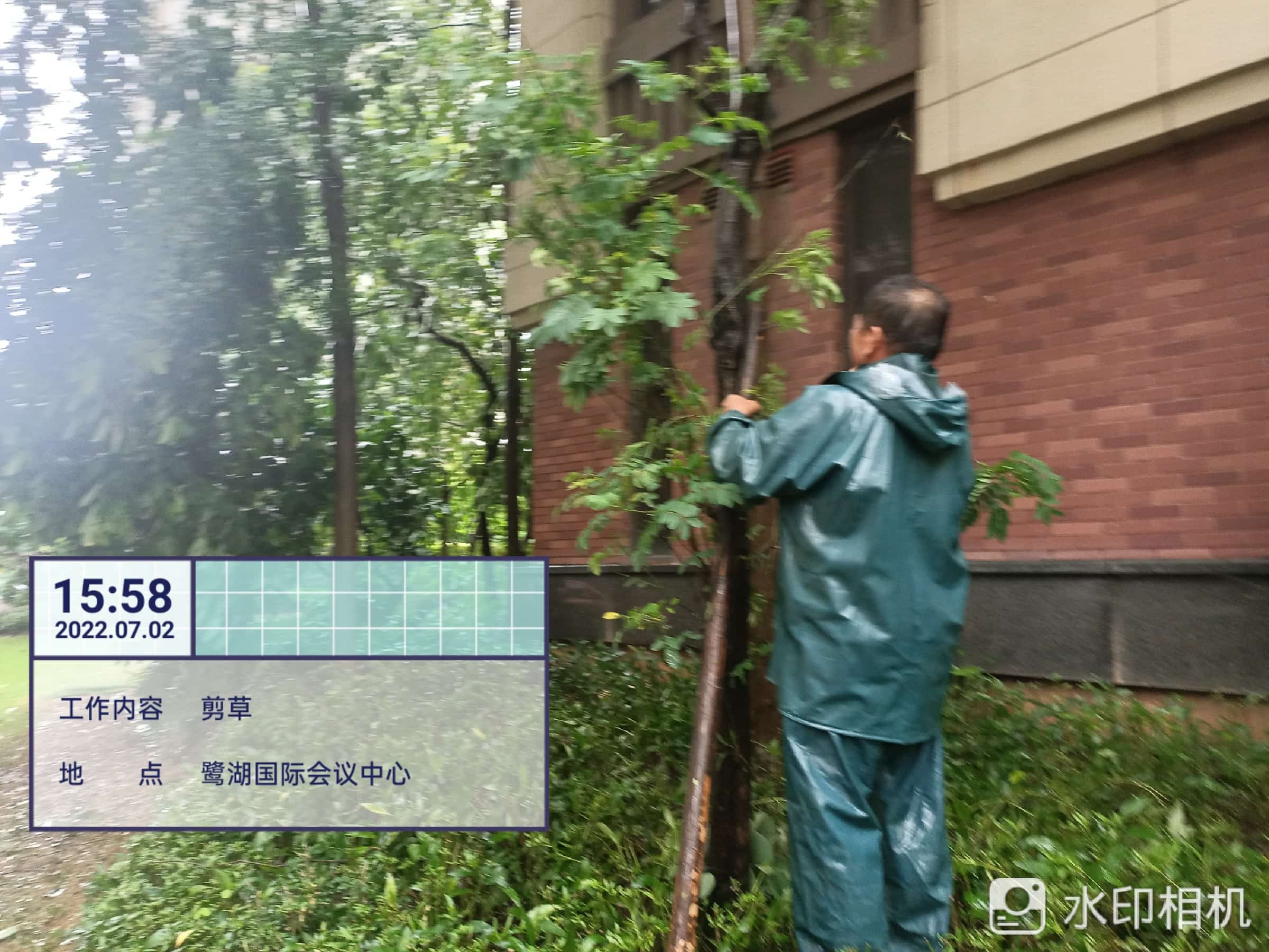 園林綠化公司,綠化養(yǎng)護(hù),園林綠化 園林綠化公司,綠化養(yǎng)護(hù),園林綠化