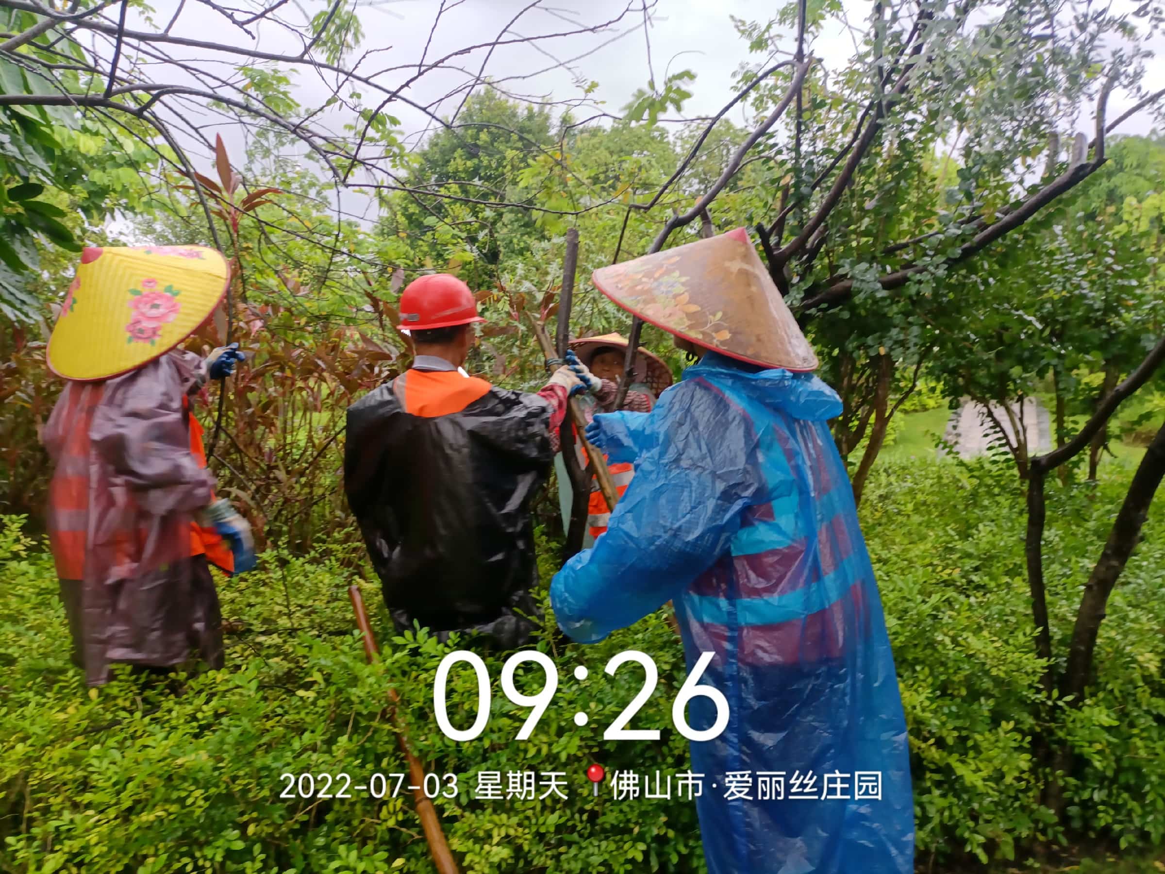 園林綠化公司,綠化養(yǎng)護(hù),園林綠化 園林綠化公司,綠化養(yǎng)護(hù),園林綠化