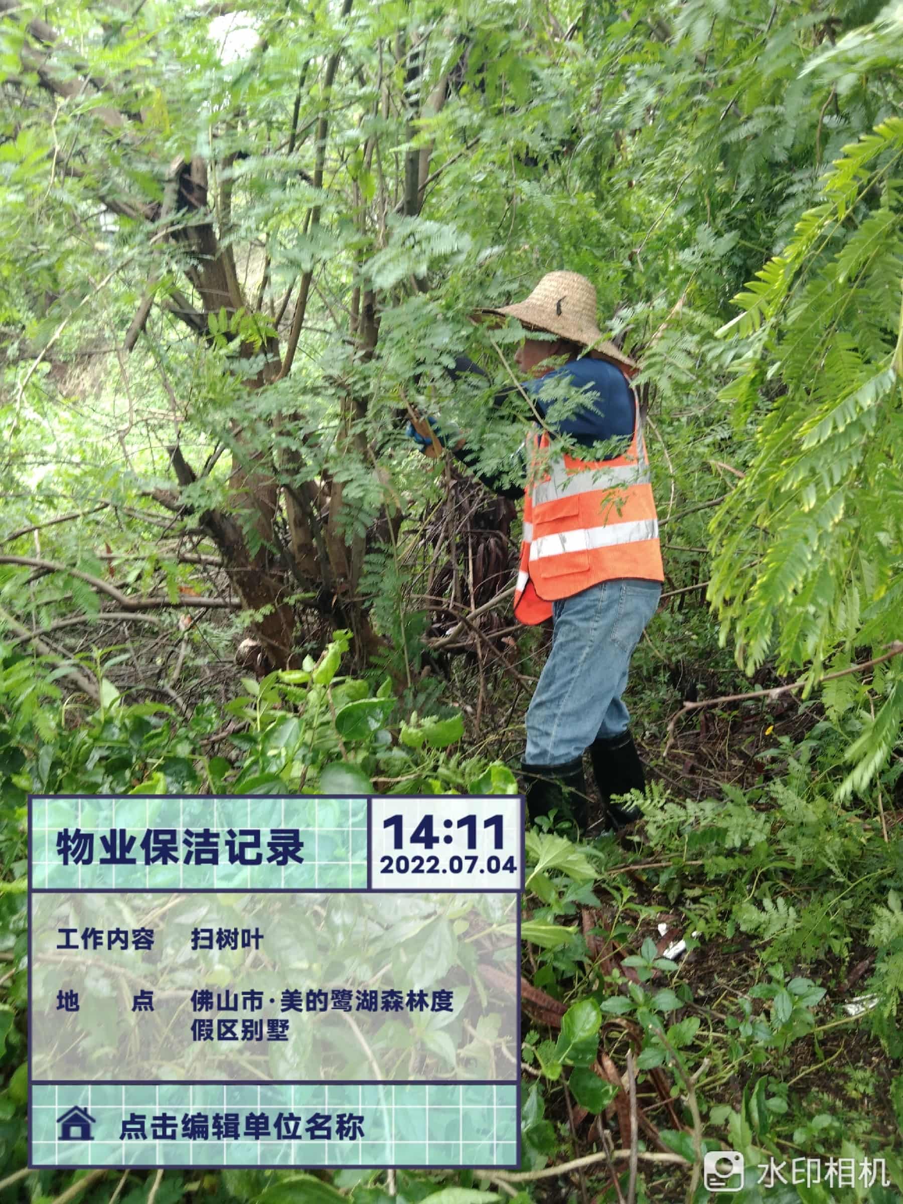 園林綠化公司,綠化養(yǎng)護(hù),園林綠化 園林綠化公司,綠化養(yǎng)護(hù),園林綠化