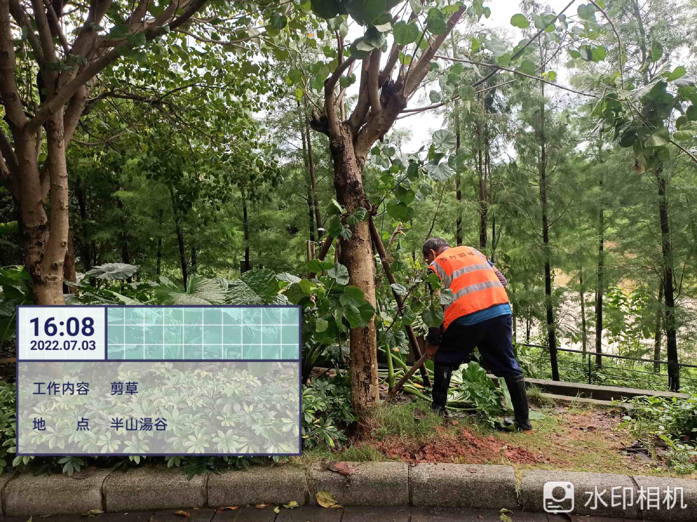 園林綠化養(yǎng)護(hù)