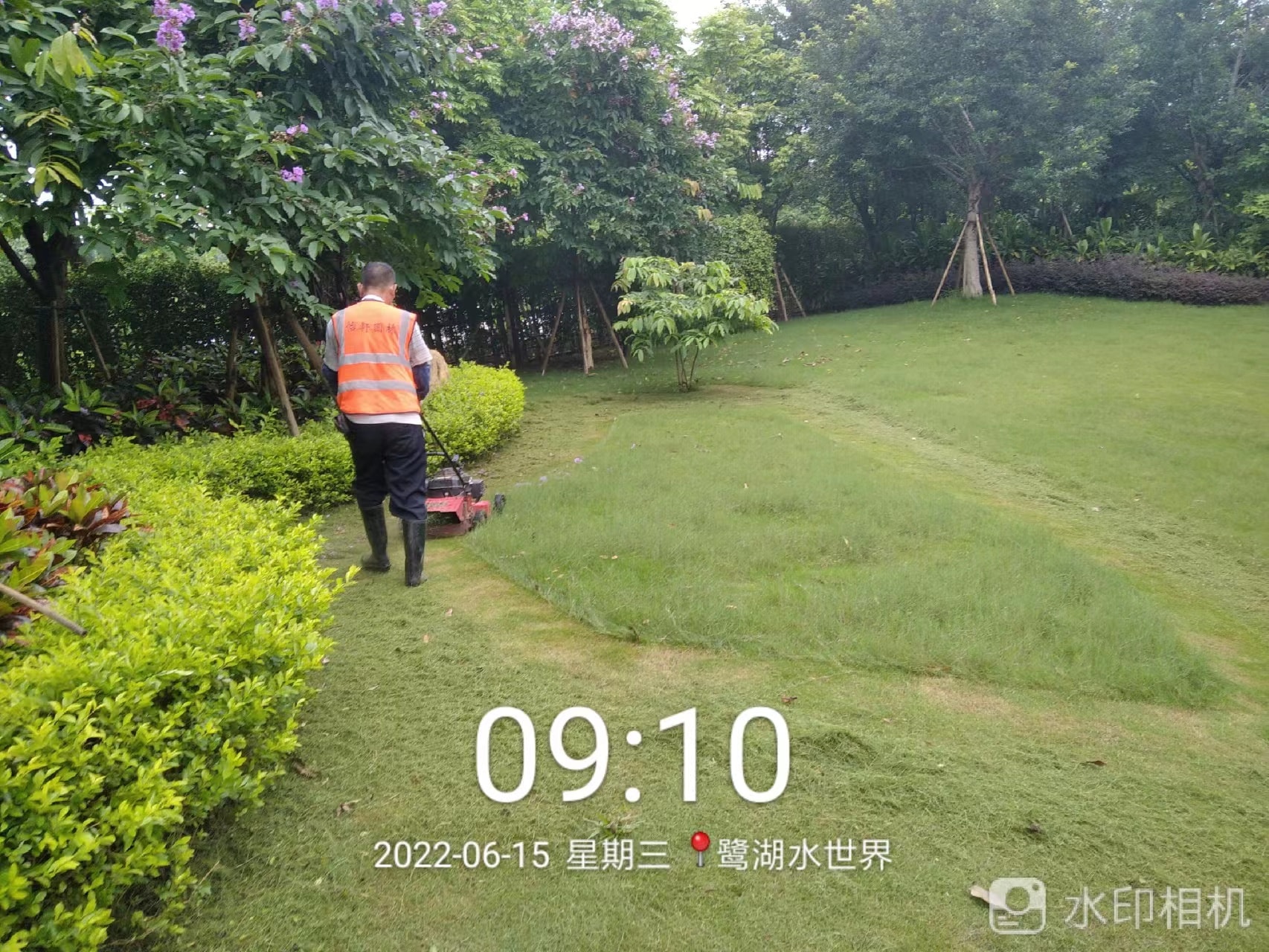園林綠化養(yǎng)護(hù)