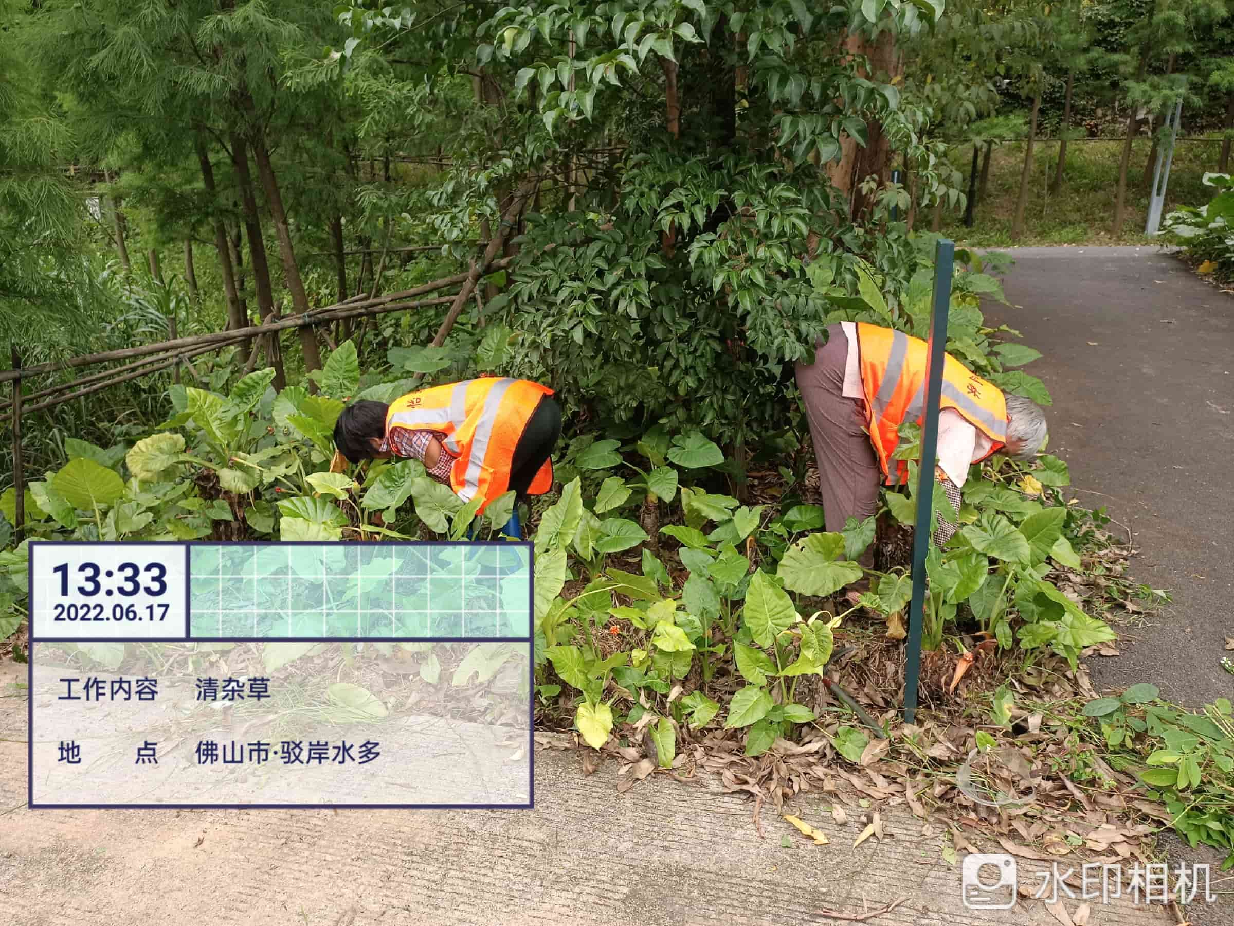 園林綠化養(yǎng)護(hù)公司 園林綠化養(yǎng)護(hù)公司