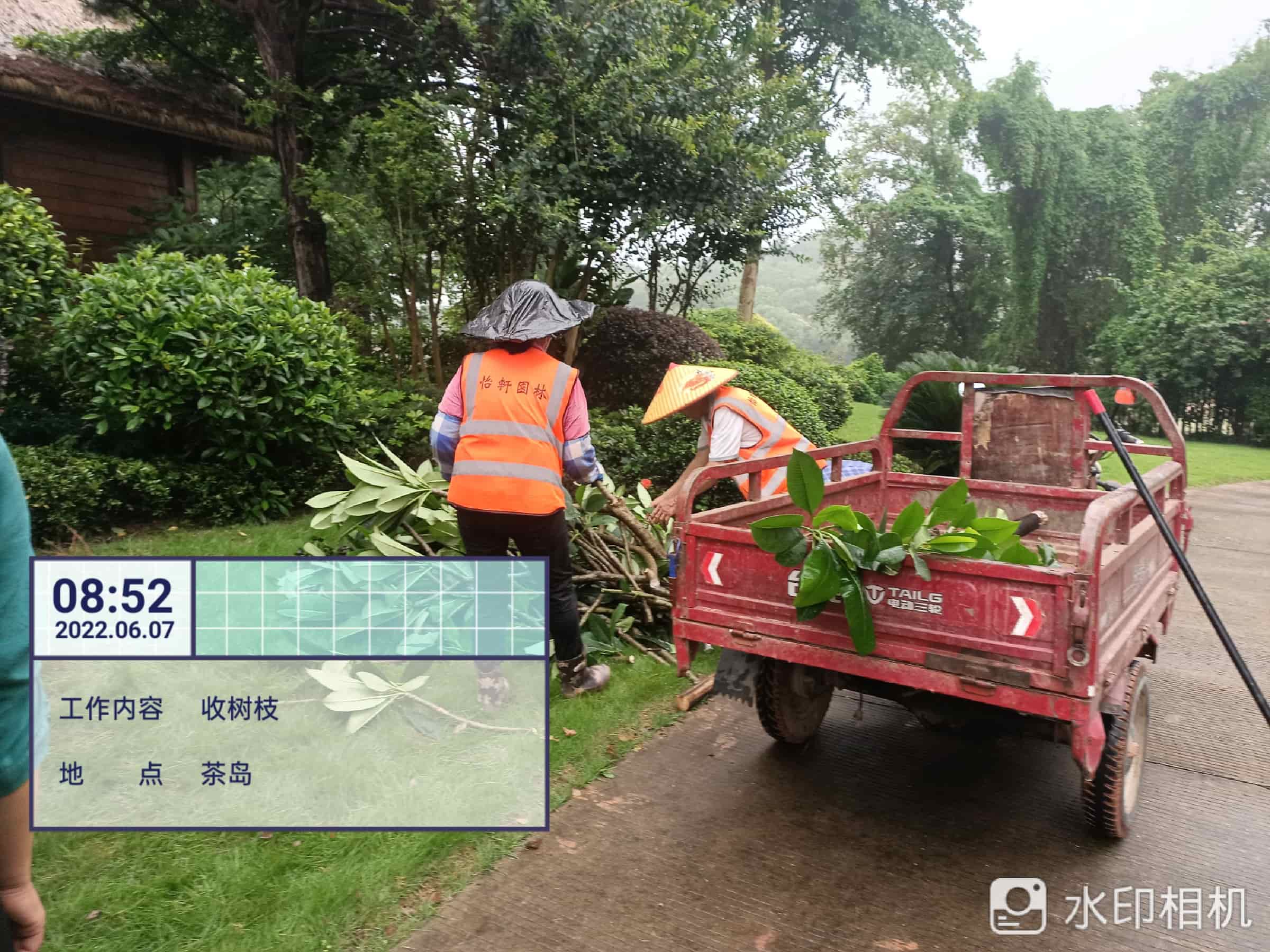 綠化養(yǎng)護(hù)