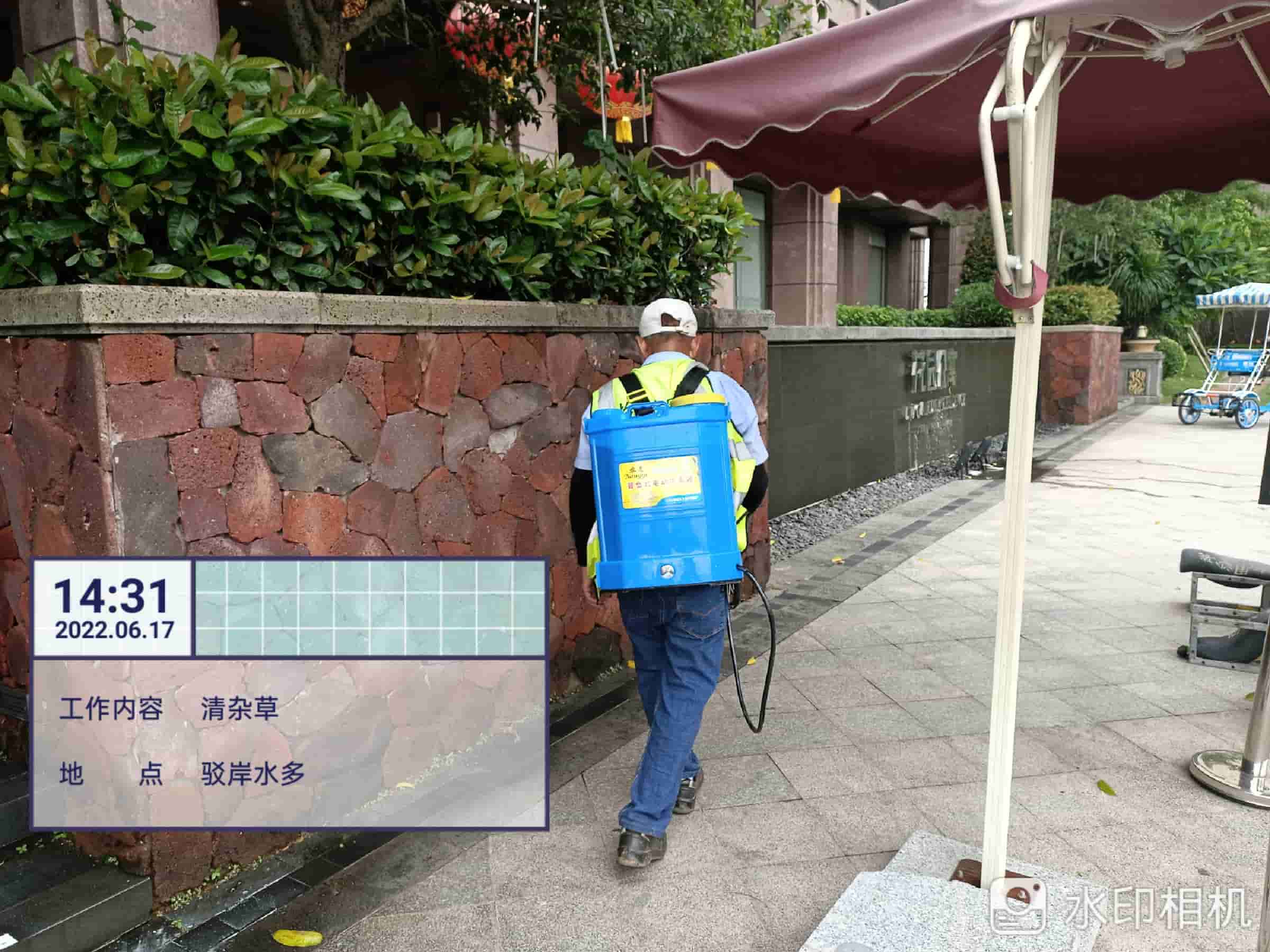 垂直綠化,園林綠化 垂直綠化,園林綠化