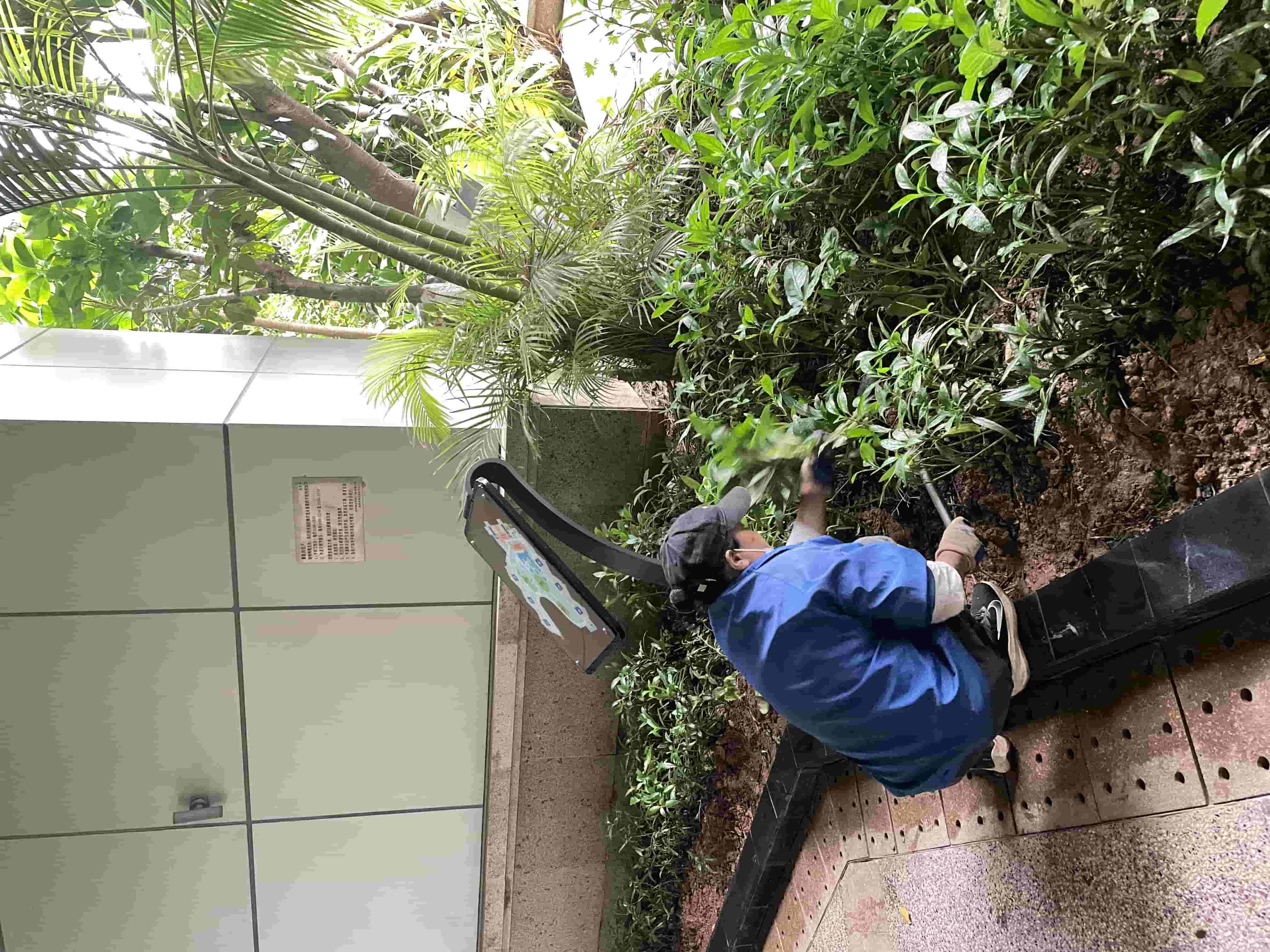 園林綠化 園林綠化