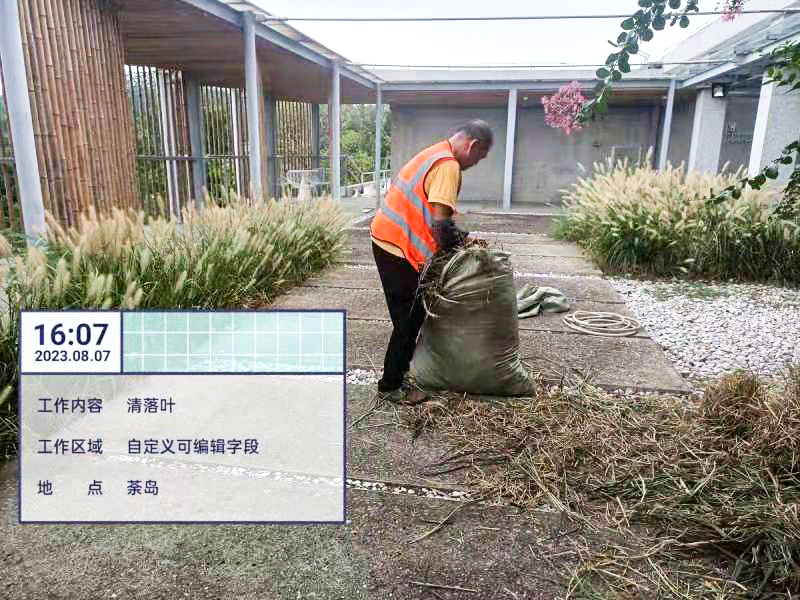 綠化養護,綠化工程