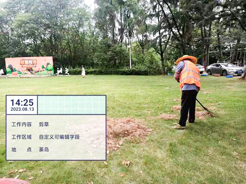 綠化養護,綠化工程