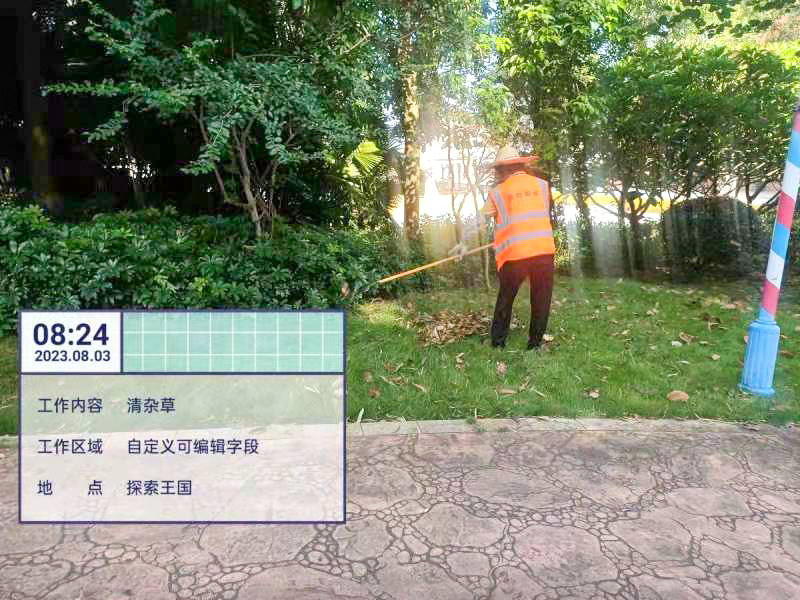 綠化養護,綠化工程