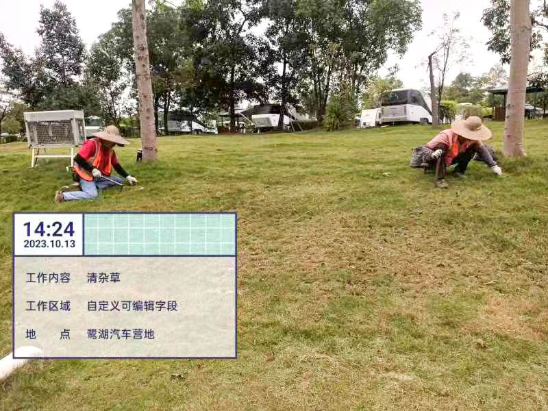 所用材料,除符合圖紙的要求外,尚須符合下列規定:1、綠化土方應符合規定,且不含有鹽、堿及垃圾等對植物生長有害的物質。 所用材料,除符合圖紙的要求外,尚須符合下列規定:1、綠化土方應符合規定,且不含有鹽、堿及垃圾等對植物生長有害的物質。